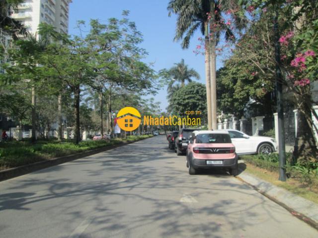 Biệt Thự bán