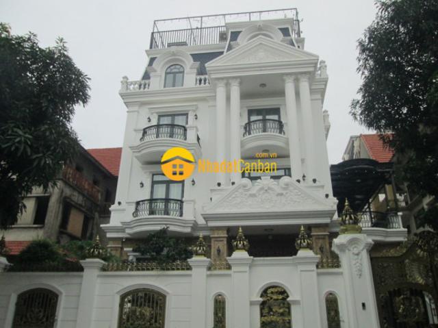 Biệt Thự bán