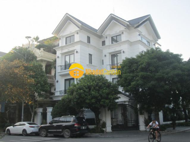 Biệt Thự bán