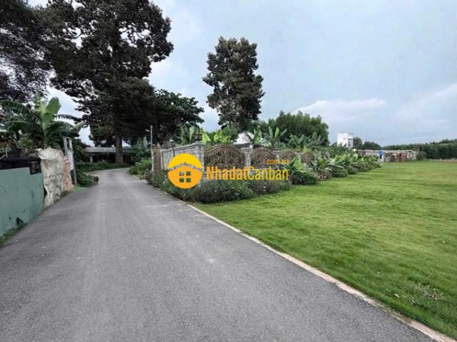 Mặt bằng bán