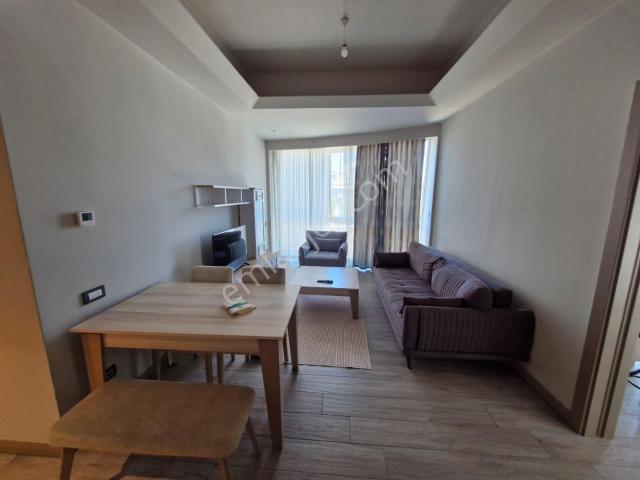 İstanbul içerisinde kiralık mülk
