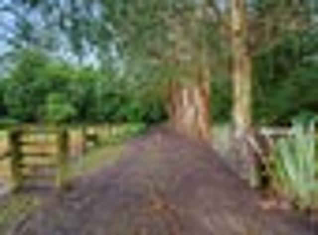 House for sale in Tararua District