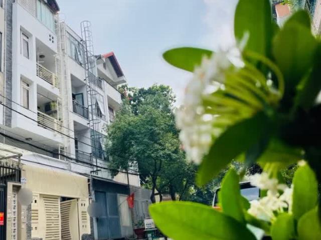 Nhà mặt phố bán tại Khuôn viên UBND Thành phố Hồ Chí Minh, Thành phố Hồ Chí Minh