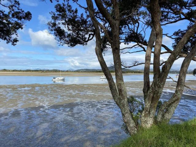 Apartment for rent in Ngunguru, Northland