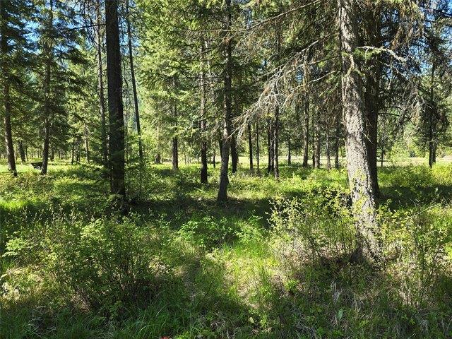 Land for sale in Saint Regis, Montana