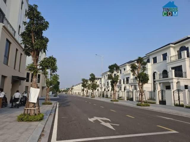 Biệt Thự bán