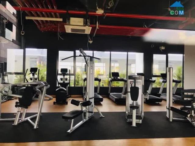Căn hộ bán tại Thủ Đức, Hồ Chí Minh