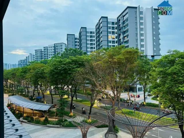 Căn hộ bán tại Thủ Đức, Hồ Chí Minh