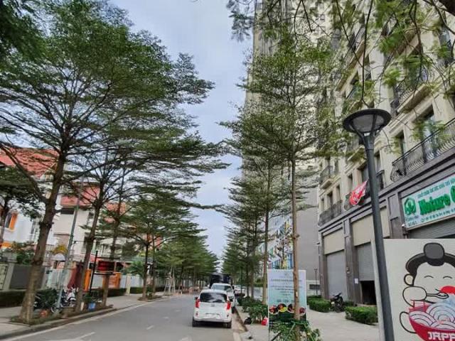 Biệt Thự bán tại Hoàn Kiếm, Hà Nội