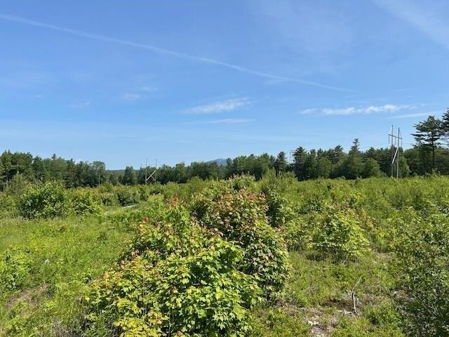 Land for sale in New Hampshire