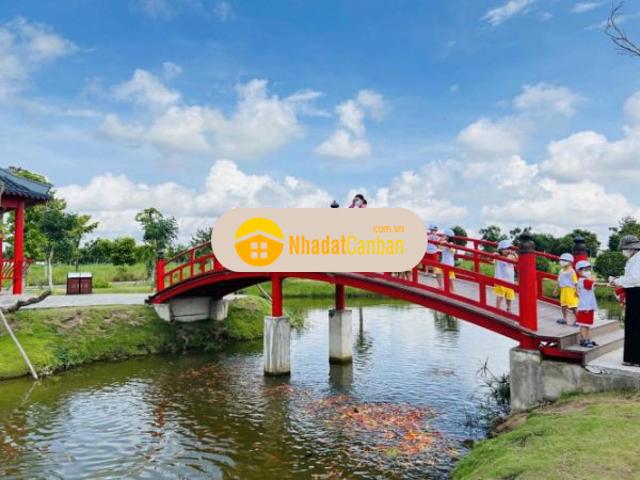 Nhà bán