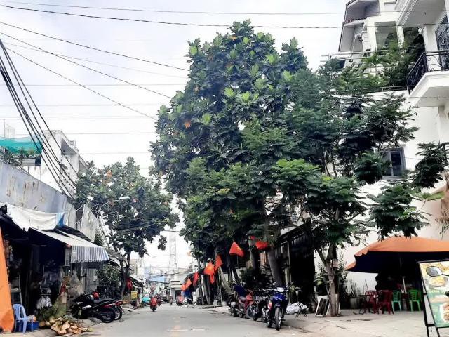 Nhà mặt phố bán tại Thủ Đức, Hồ Chí Minh