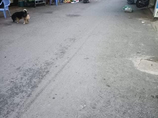 Nhà mặt phố bán tại Thủ Đức, Hồ Chí Minh
