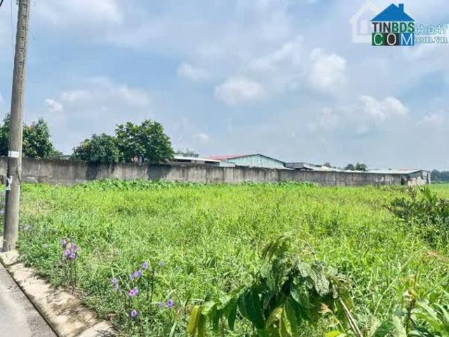 Nhà mặt phố bán tại Thủ Đức, Hồ Chí Minh