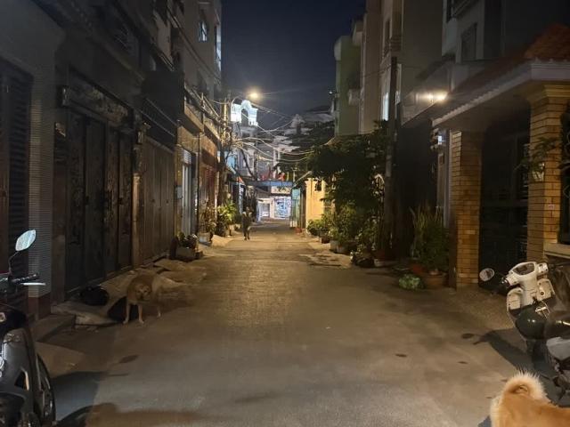 Nhà bán tại Khuôn viên UBND Thành phố Hồ Chí Minh, Thành phố Hồ Chí Minh