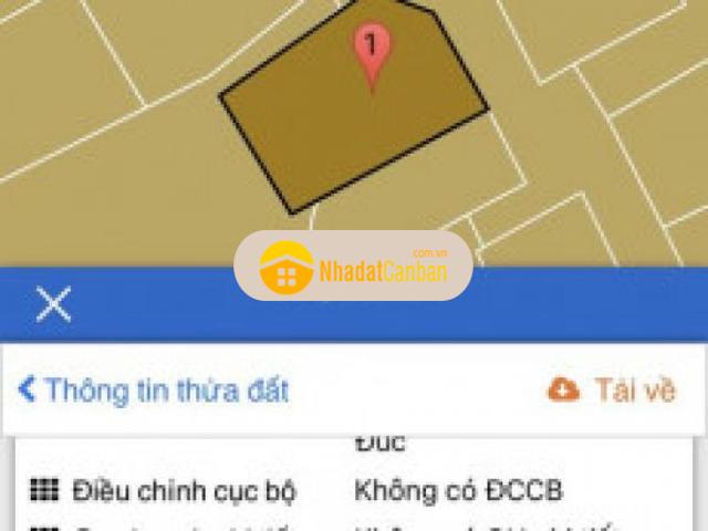 Nhà bán