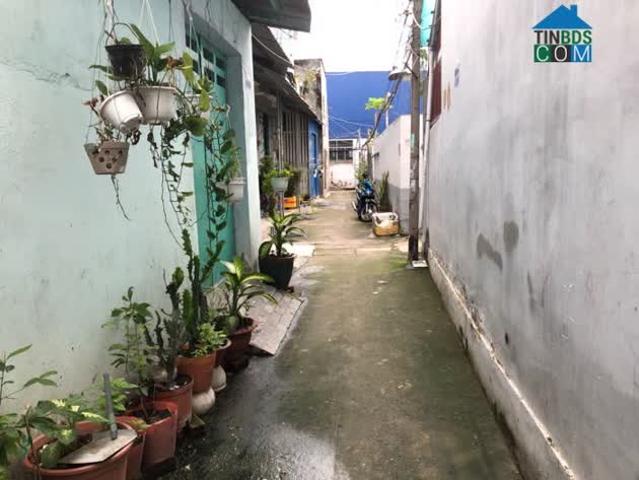 Nhà mặt phố bán tại Thủ Đức, Hồ Chí Minh
