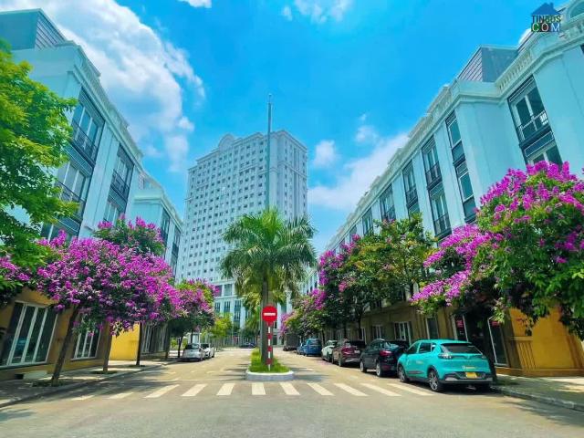 Biệt Thự bán