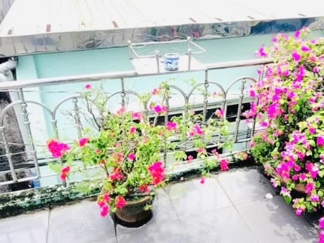 Nhà bán tại Khuôn viên UBND Thành phố Hồ Chí Minh, Thành phố Hồ Chí Minh