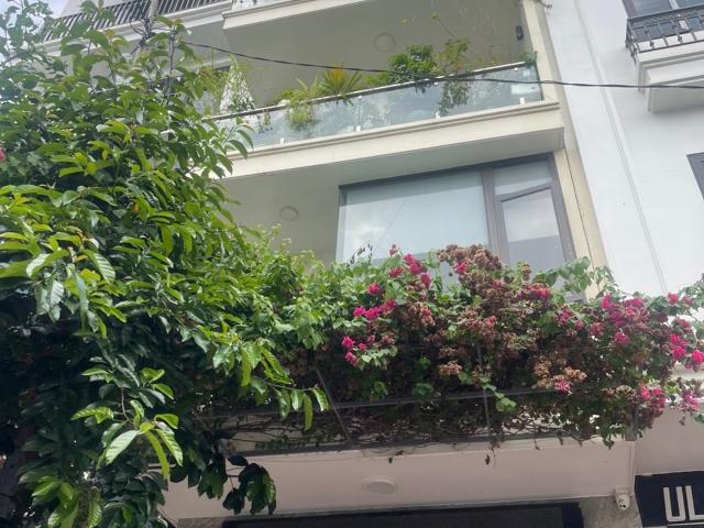 Nhà mặt phố bán