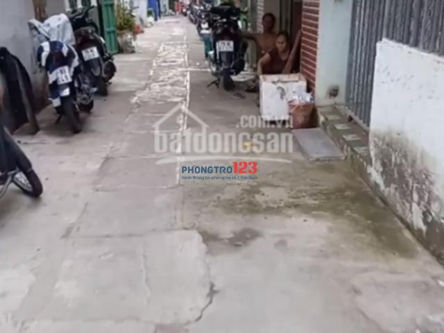 Bất động sản cho thuê tại Khánh Hòa