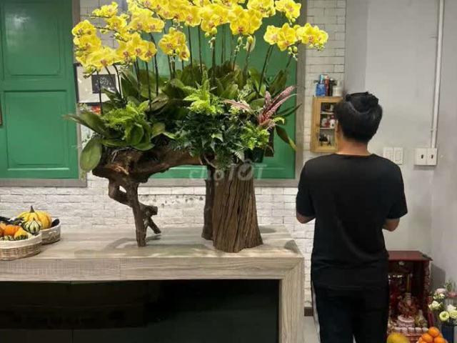Nhà mặt phố cho thuê tại Thủ Đức, Hồ Chí Minh