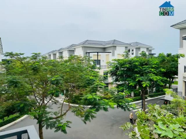 Biệt Thự bán tại Thủ Đức, Hồ Chí Minh