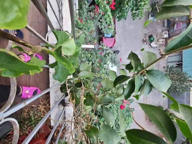 Biệt Thự bán tại Hoàn Kiếm, Hà Nội