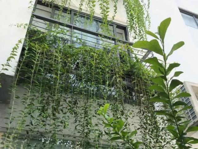 Nhà bán tại Thủ Đức, Hồ Chí Minh