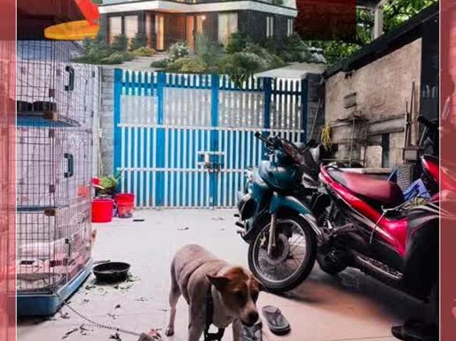Nhà bán tại Thủ Đức, Hồ Chí Minh