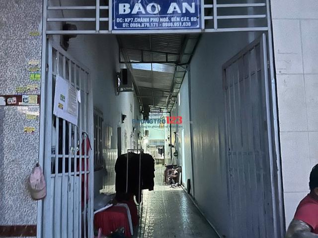 Bất động sản cho thuê tại Gia Lai