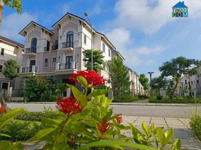 Biệt Thự bán tại Bắc Ninh
