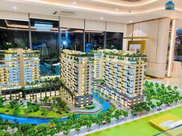 Căn hộ bán tại Thủ Đức, Hồ Chí Minh