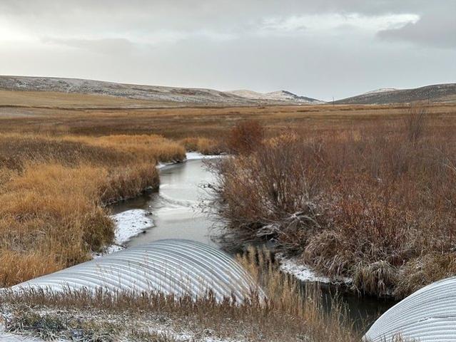 Land for sale in Montana