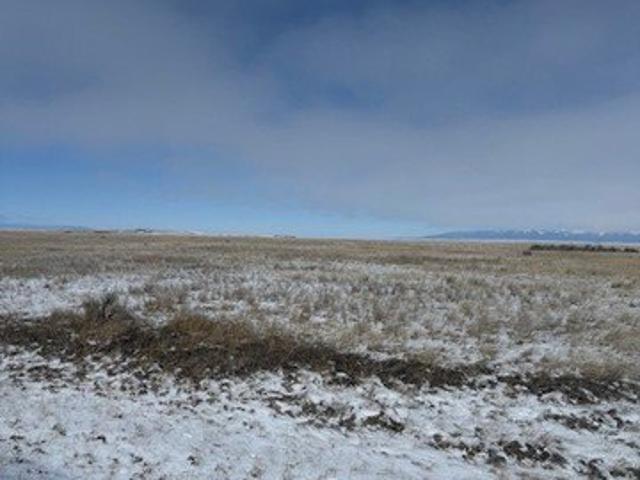 Land for sale in Montana