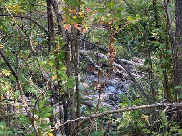 Land for sale in Babb, Montana