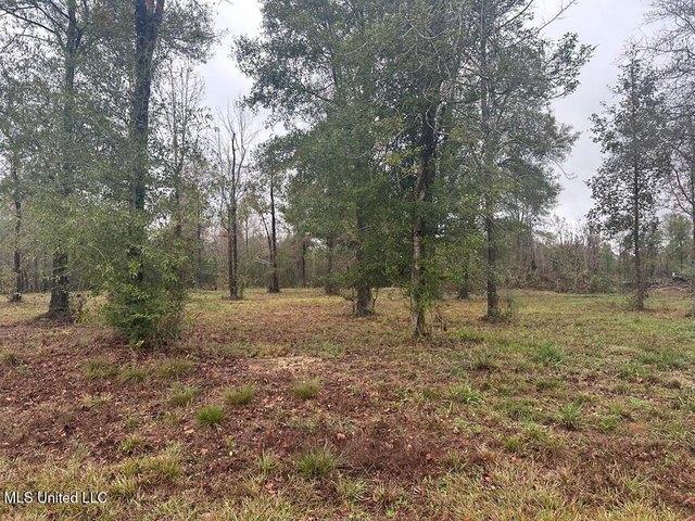 Land for sale in Picayune, Mississippi