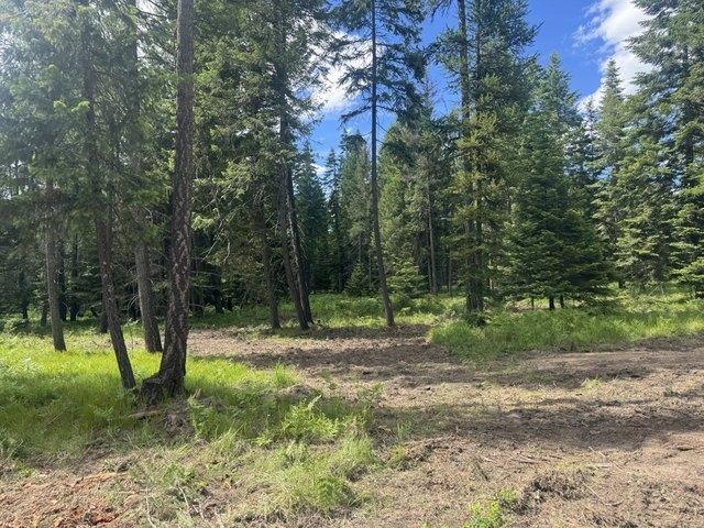Land for sale in Sanders, Montana