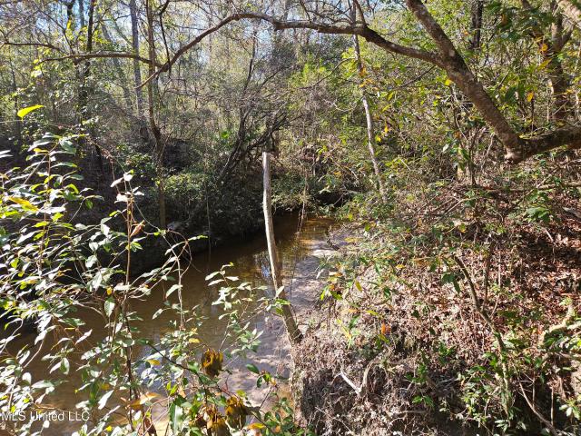 Land for sale in Mississippi