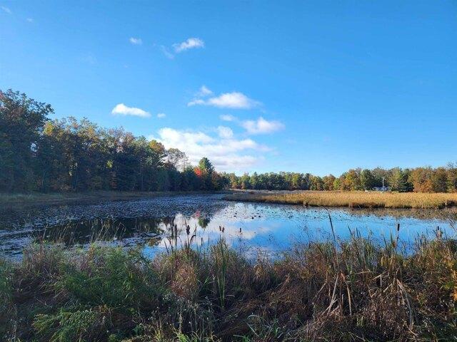 Land for sale in Harrison