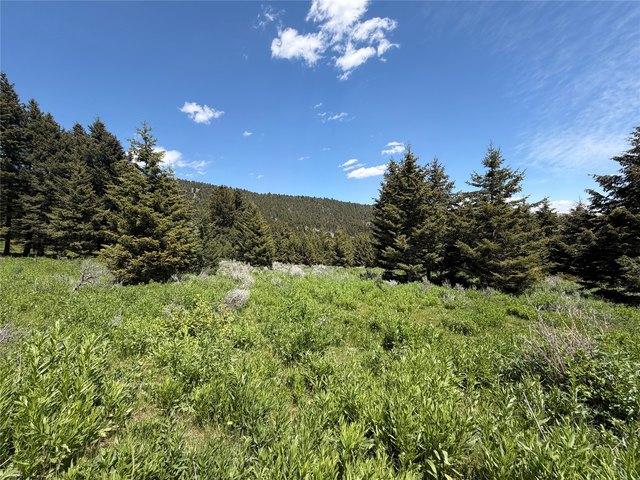 Land for sale in White Sulphur Springs, Montana