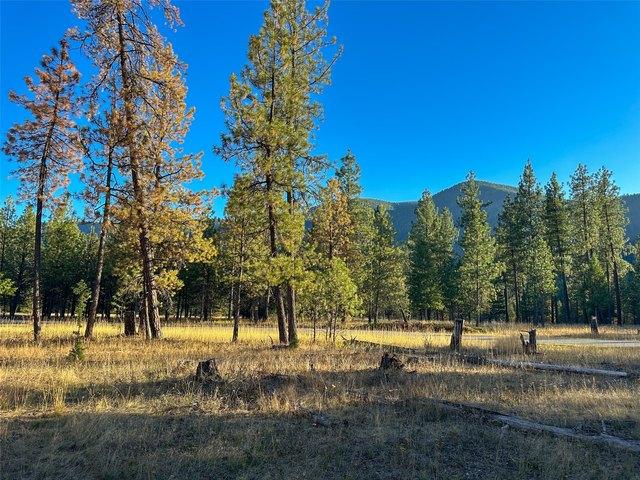 Land for sale in Thompson Falls, Sanders County