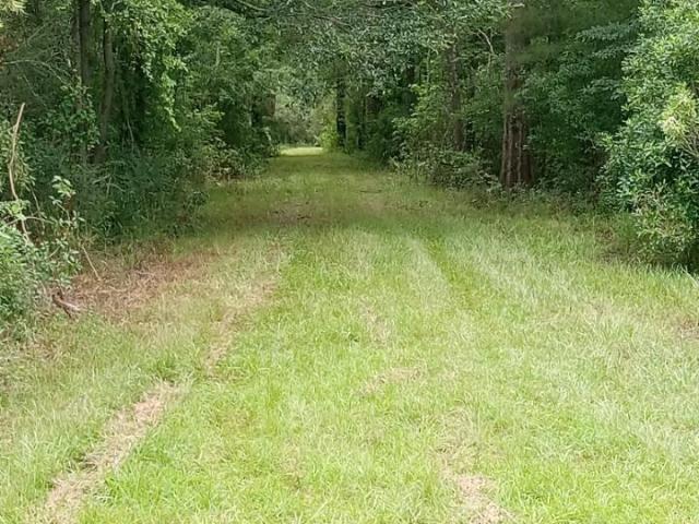 Land for sale in Poplarville, Mississippi