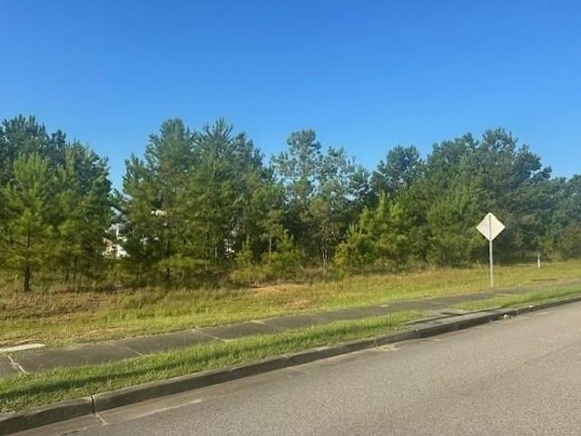Land for sale in Picayune, Mississippi