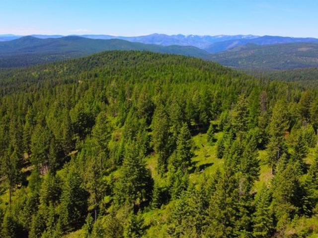 Land for sale in Sanders, Montana