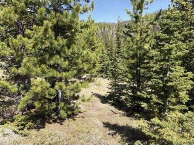 Land for sale in Clancy, Montana