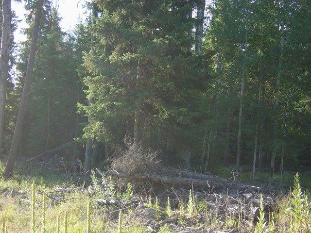 Land for sale in Libby, Montana