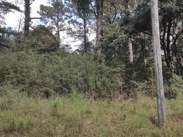 Land for sale in Lumberton, Lamar County
