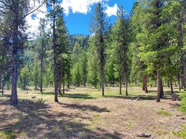 Land for sale in Ravalli, Montana