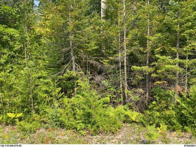 Land for sale in Presque Isle, Michigan